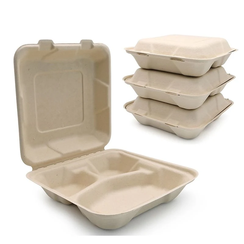 100% Eco-Friendly Biodegradable Tableware Compostable Sugarcane Bagasse Takeaway Lunch Box Bento Disposable Food Packaging Clamshell Food Container